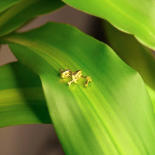 Carica l&#39;immagine nel visualizzatore di Gallery, UDARA Earrings
